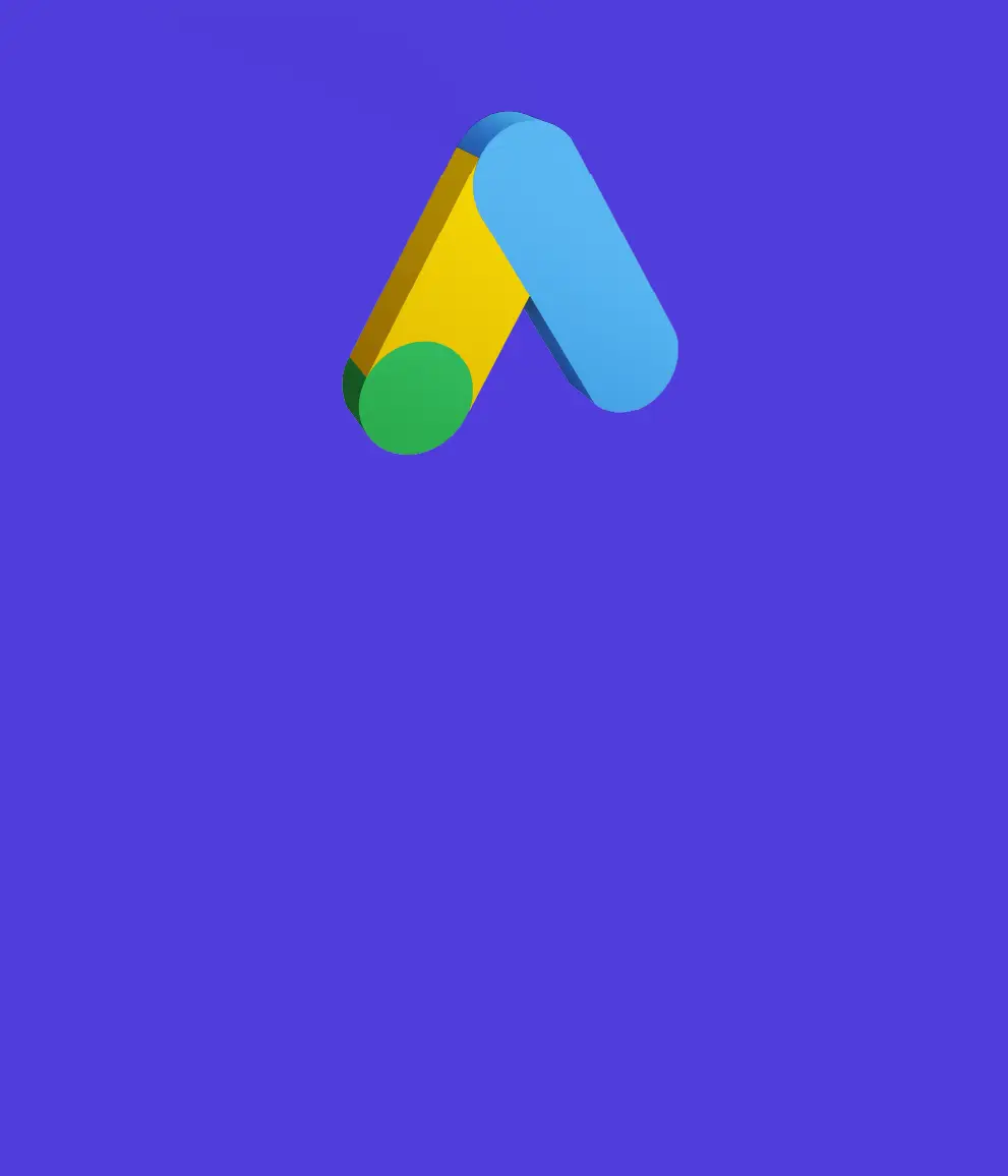 Google Ads Management
